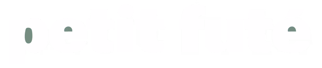 petit futé