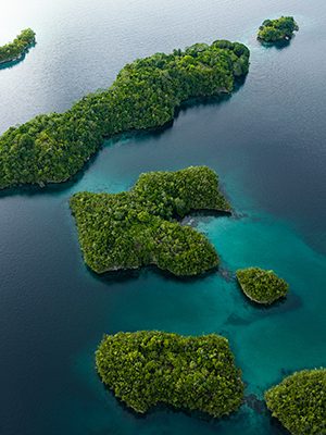 DJI_20260211082758_0019_D 2