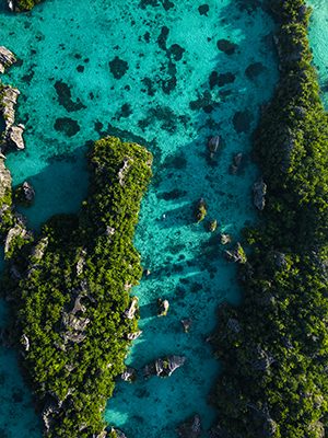 DJI_20260218082023_0284_D 2