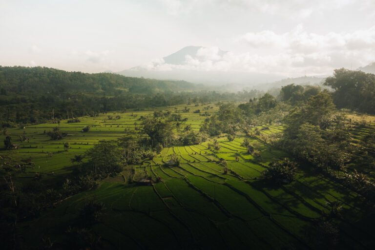 Visiter Bali: 10 activités pour un excellent voyage Visiter Bali: nos 10 incontournables